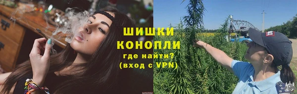 твердый Бородино