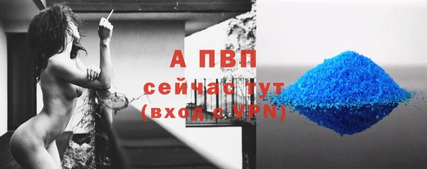 spice Бугульма