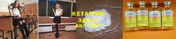 твердый Бородино