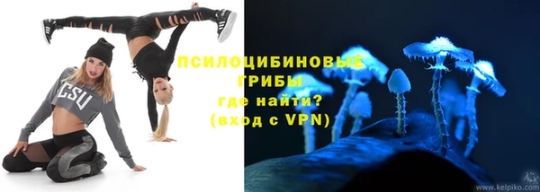 spice Бугульма