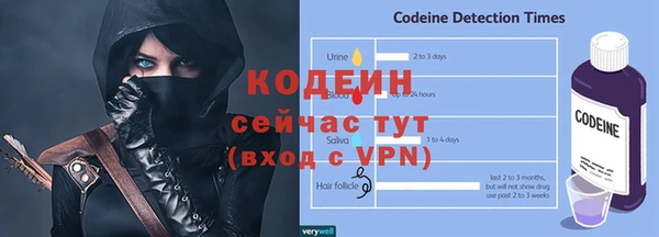 твердый Бородино