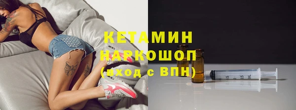 твердый Бородино