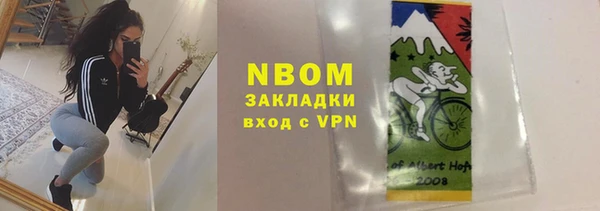 твердый Бородино