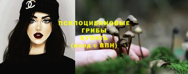 твердый Бронницы