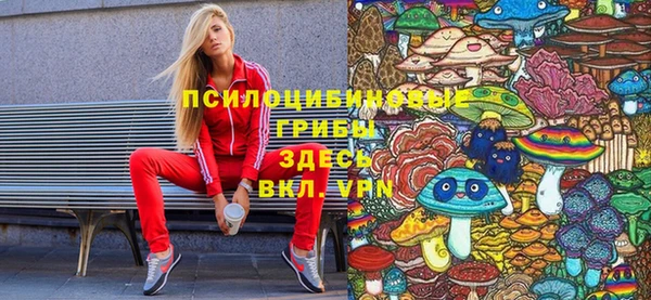 spice Бугульма
