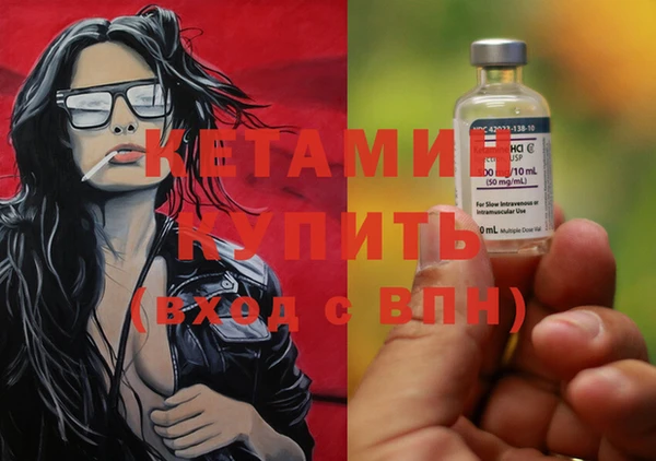 твердый Бородино