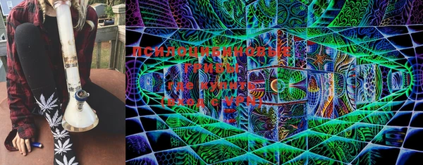твердый Бронницы