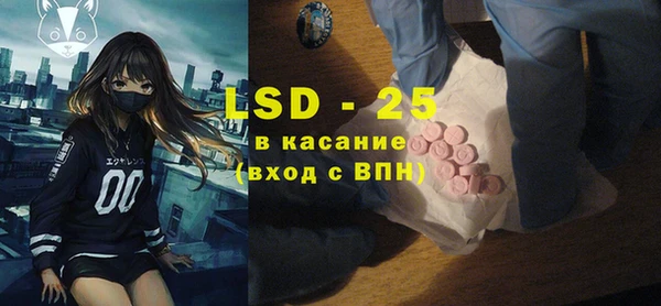 твердый Бородино