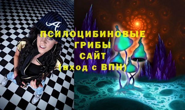 твердый Бронницы