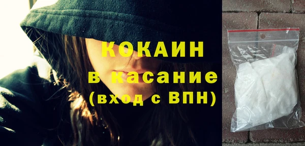 твердый Бородино