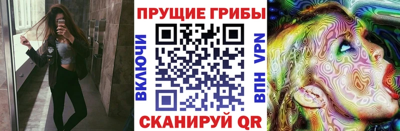 Псилоцибиновые грибы прущие грибы  продажа наркотиков  Вилюйск 